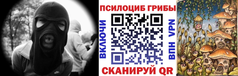 Купить где  Североуральск  Галлюциногенные грибы Psilocybe 